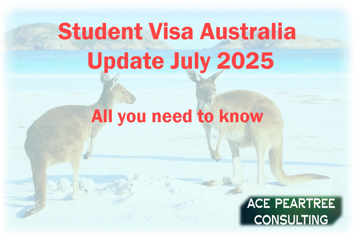 Student Visa Australia Update 2025 - All you need to know written as overlay in front of a kangaroo on an Australian beach background.